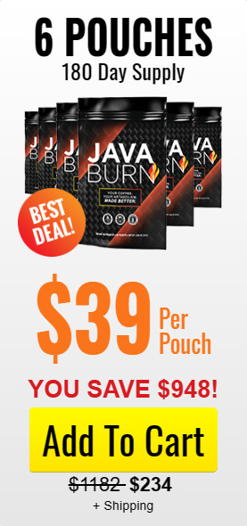 Java Burn price 2